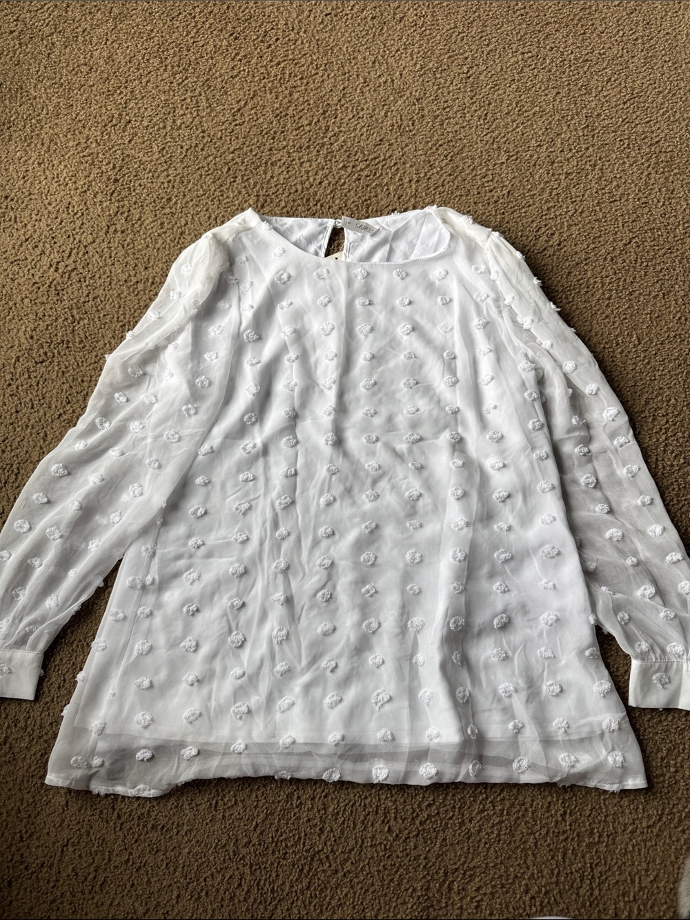 Zenana Outfitters White Dotted Swiss Long-Sleeve Blouse